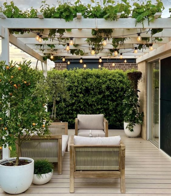 Pergola Designs 45+ Ideas for Balcony, Terrace & Garden